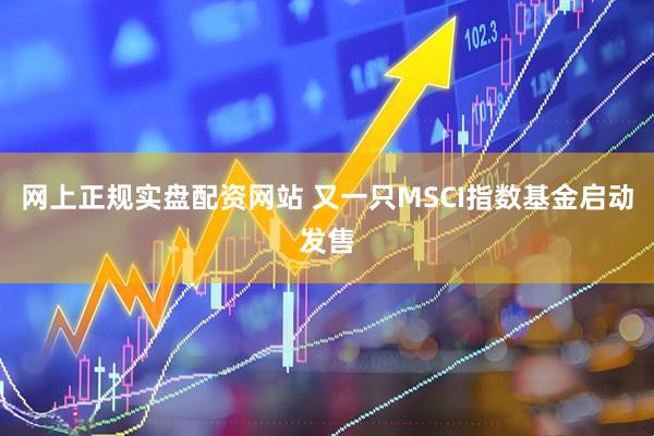 网上正规实盘配资网站 又一只MSCI指数基金启动发售